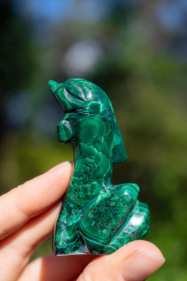 Malachite Dolphin